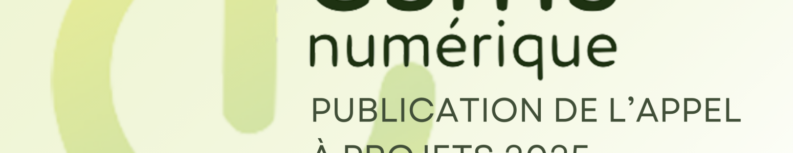 ESMS Numérique : Publication du dernier Appel à projets 2025
